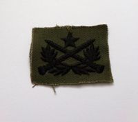 Ranger Badge Vietnam