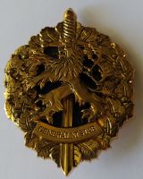 Čestný odznak Generálního štábu AČR I.třídy